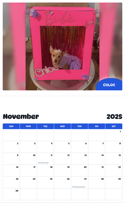 July 2025 - June 2026 Chloe - Pawidols Pet Calendar
