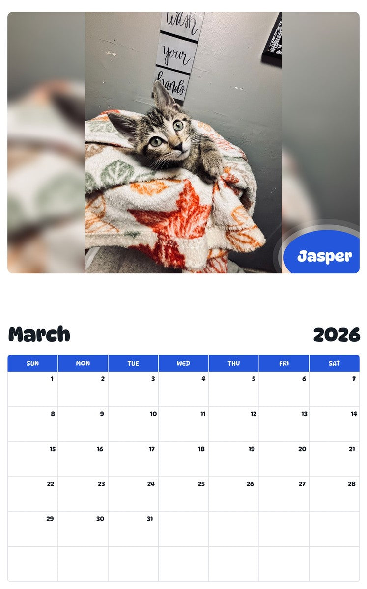 November 2025 - October 2026 Jasper - Pawidols Pet Calendar