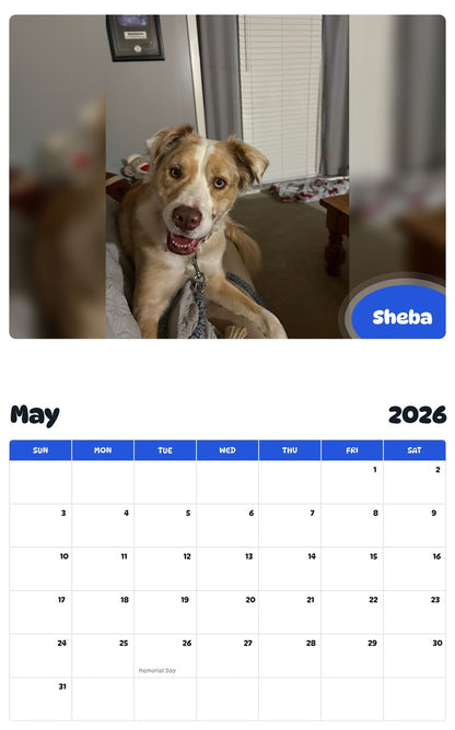 2026 - 2027 Sheba - Pawidols Pet Calendar