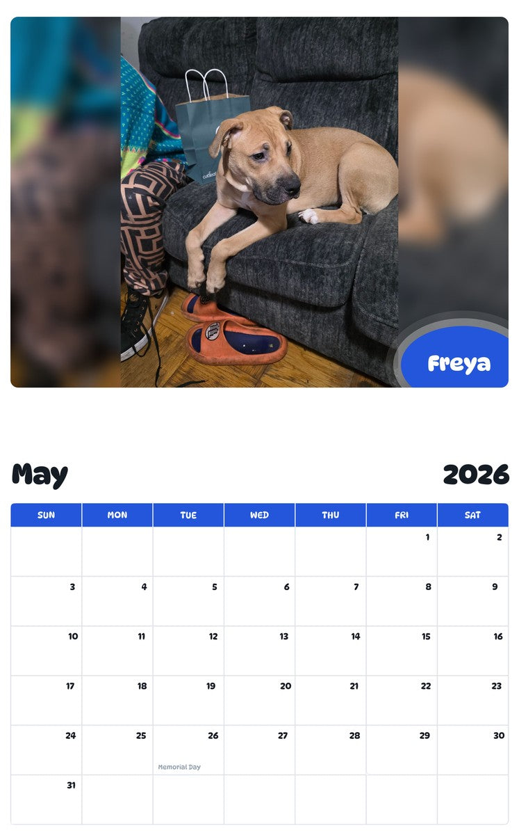 2026 - 2027 Freya - Pawidols Pet Calendar