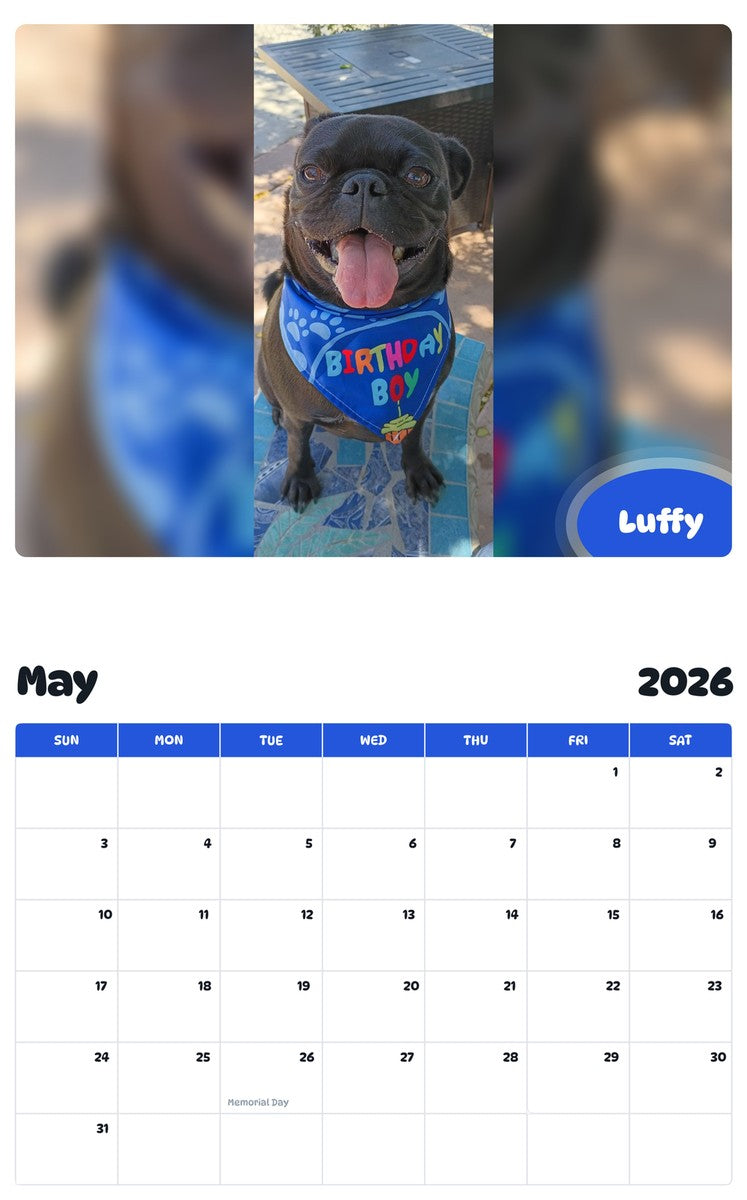 2026 - 2027 Luffy - Pawidols Pet Calendar