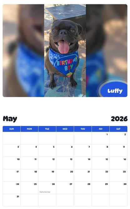 2026 - 2027 Luffy - Pawidols Pet Calendar