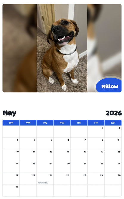 2026 - 2027 Willow - Pawidols Pet Calendar