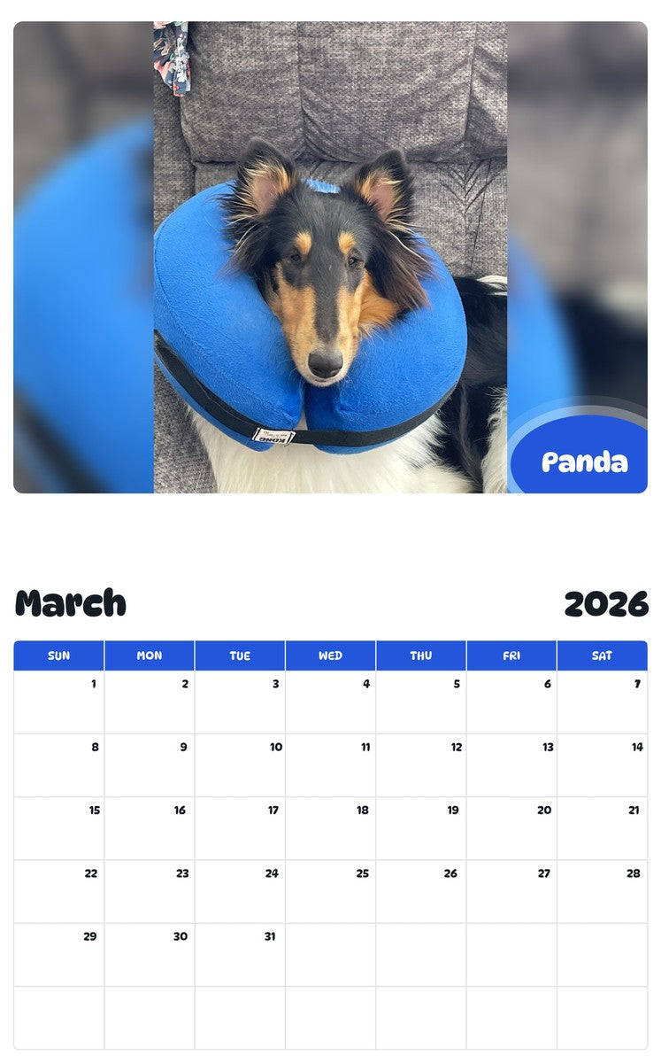 November 2025 - October 2026 Panda - Pawidols Pet Calendar