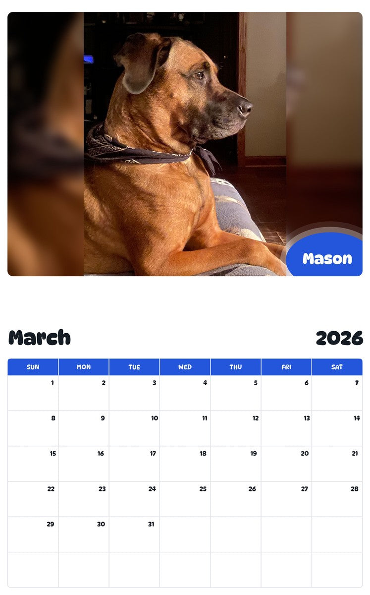 November 2025 - October 2026 Mason - Pawidols Pet Calendar