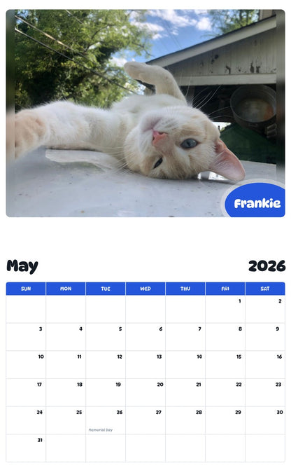 2026 - 2027 Frankie - Pawidols Pet Calendar