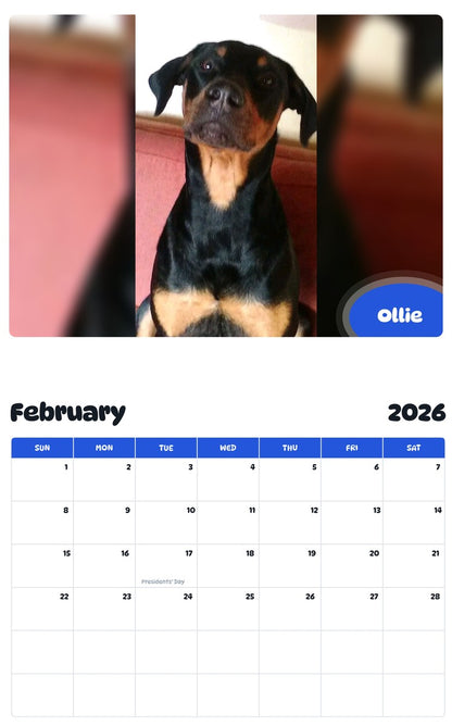 October 2025 - September 2026 Ollie - Pawidols Pet Calendar