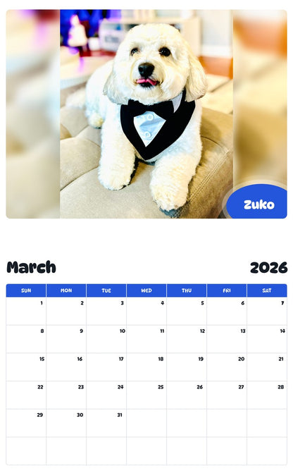 November 2025 - October 2026 Zuko - Pawidols Pet Calendar