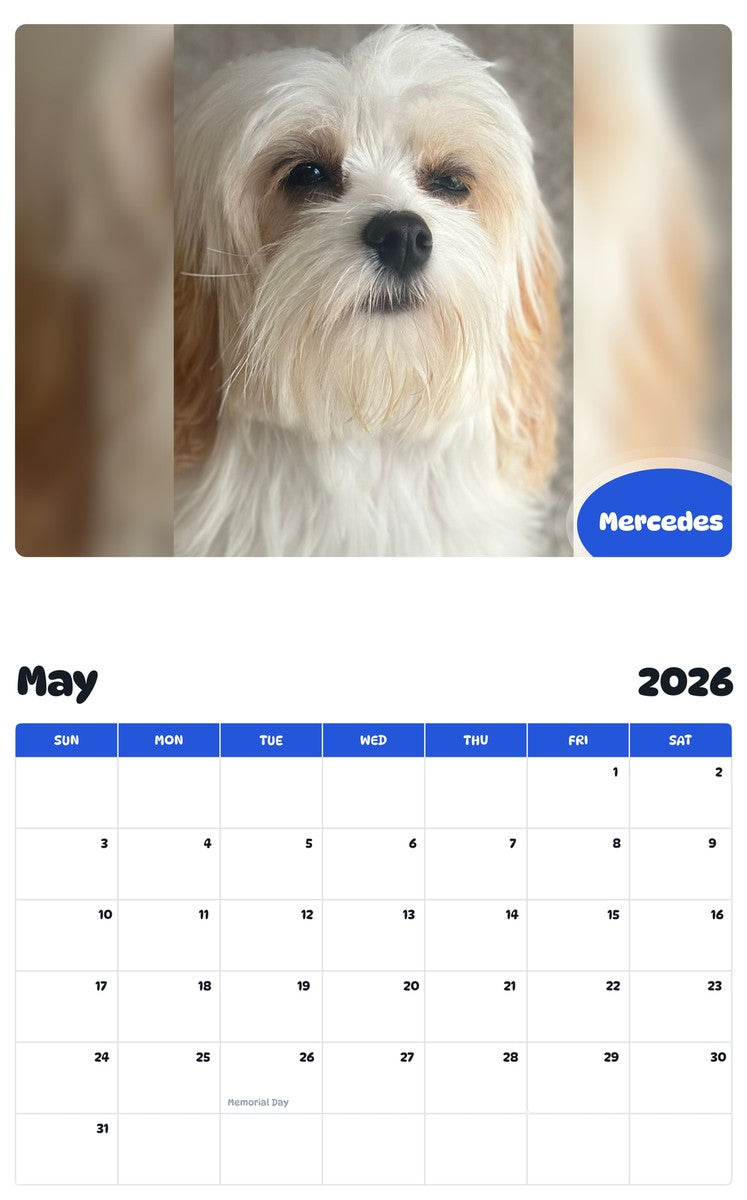 2026 - 2027 Mercedes - Pawidols Pet Calendar