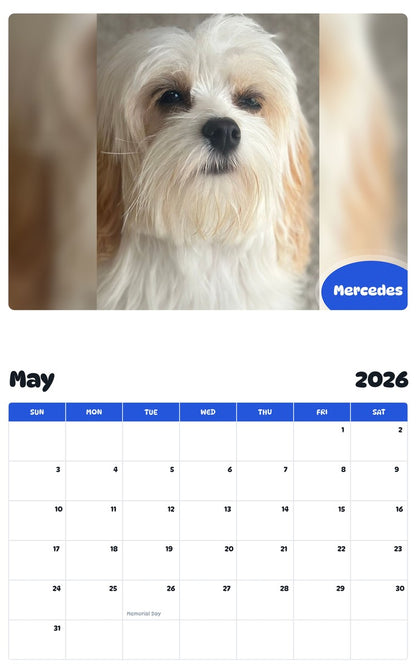 2026 - 2027 Mercedes - Pawidols Pet Calendar