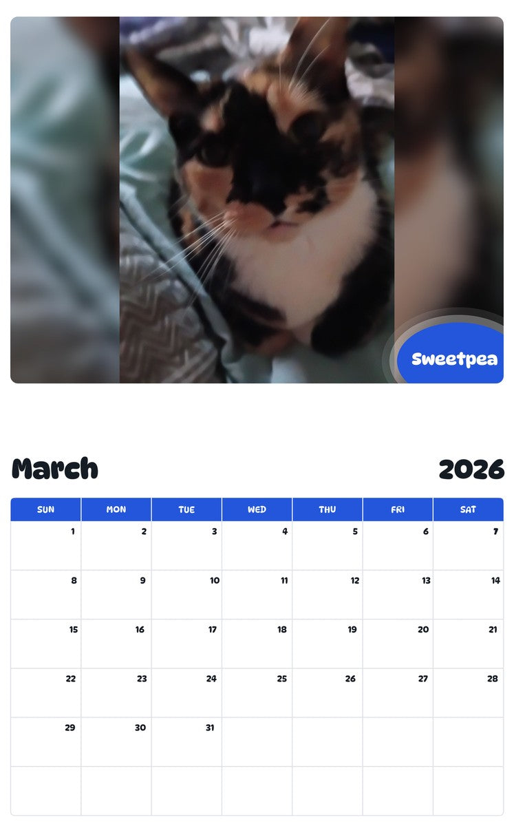 November 2025 - October 2026 Sweetpea - Pawidols Pet Calendar