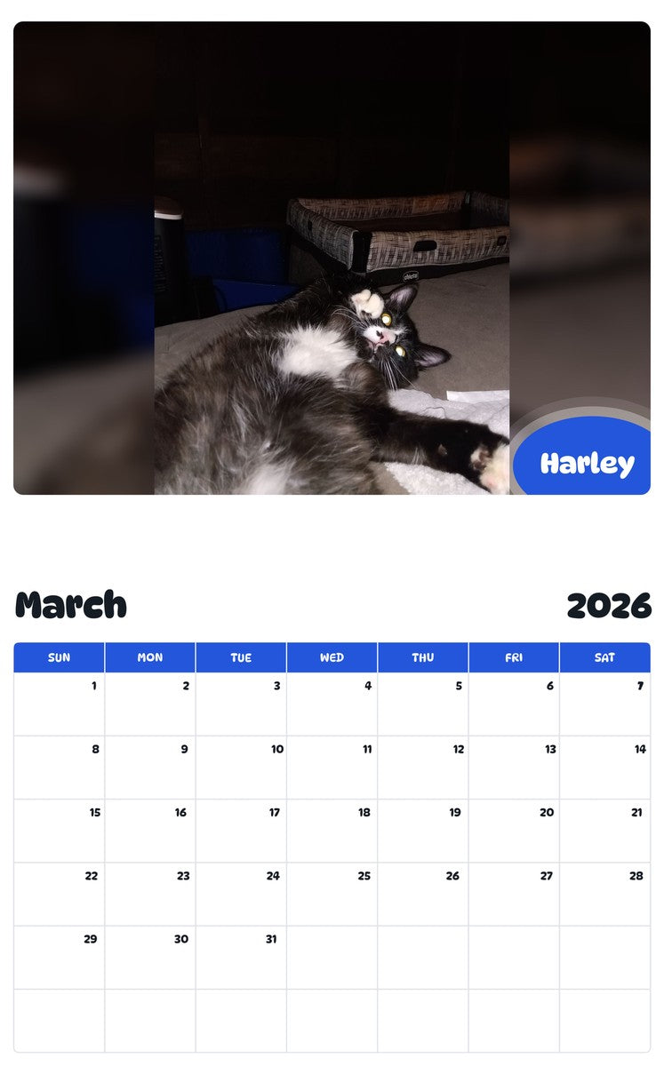 November 2025 - October 2026 Harley - Pawidols Pet Calendar
