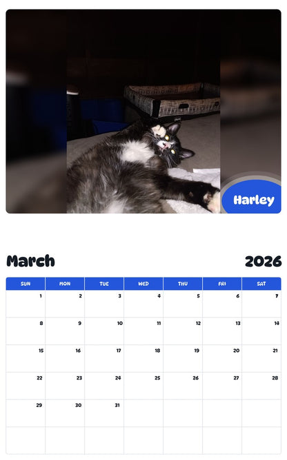 November 2025 - October 2026 Harley - Pawidols Pet Calendar