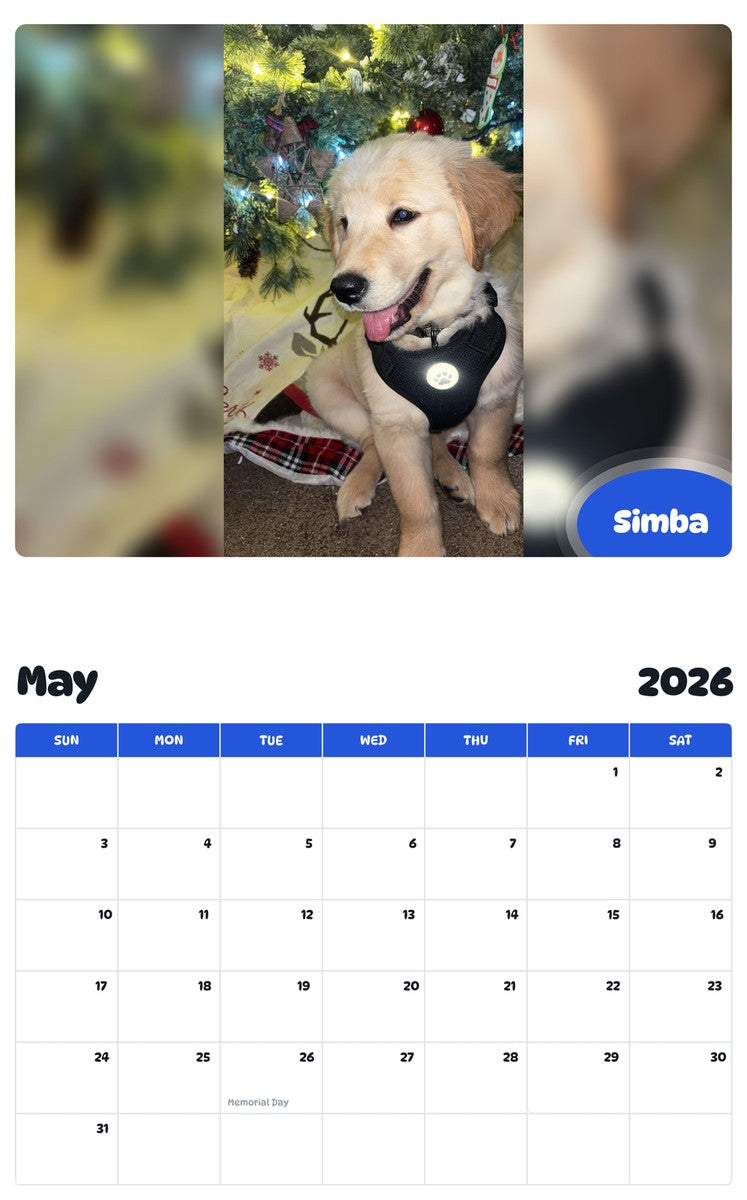 2026 - 2027 Simba - Pawidols Pet Calendar