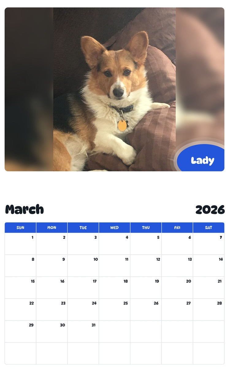 November 2025 - October 2026 Lady - Pawidols Pet Calendar