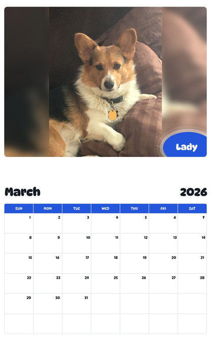 November 2025 - October 2026 Lady - Pawidols Pet Calendar