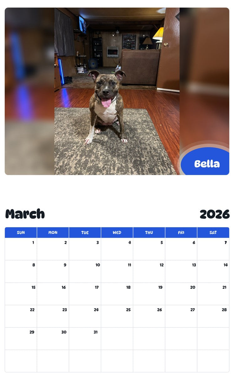 November 2025 - October 2026 Bella - Pawidols Pet Calendar
