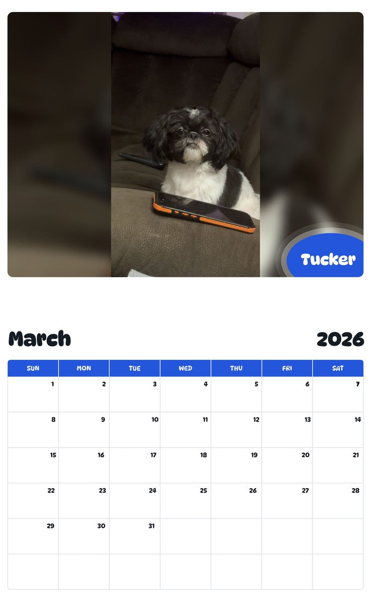 November 2025 - October 2026 Tucker - Pawidols Pet Calendar