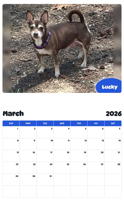November 2025 - October 2026 Lucky - Pawidols Pet Calendar
