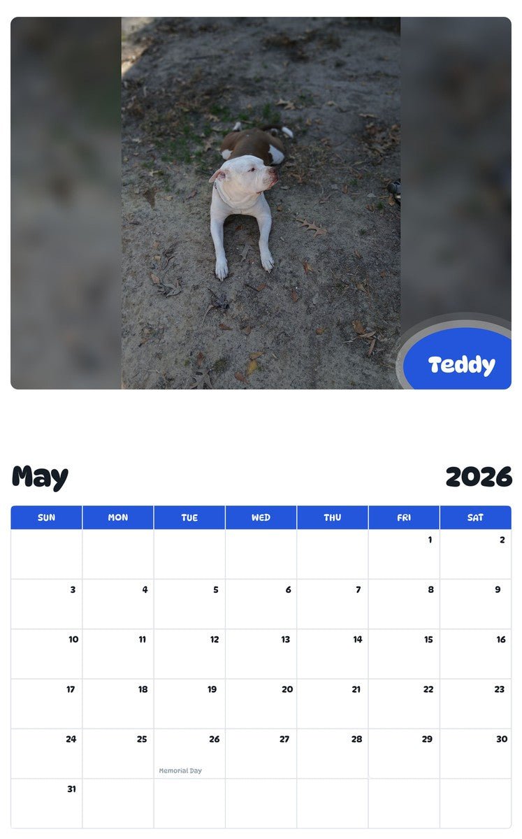 2026 - 2027 Teddy - Pawidols Pet Calendar