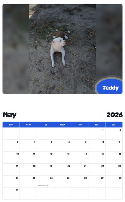 2026 - 2027 Teddy - Pawidols Pet Calendar