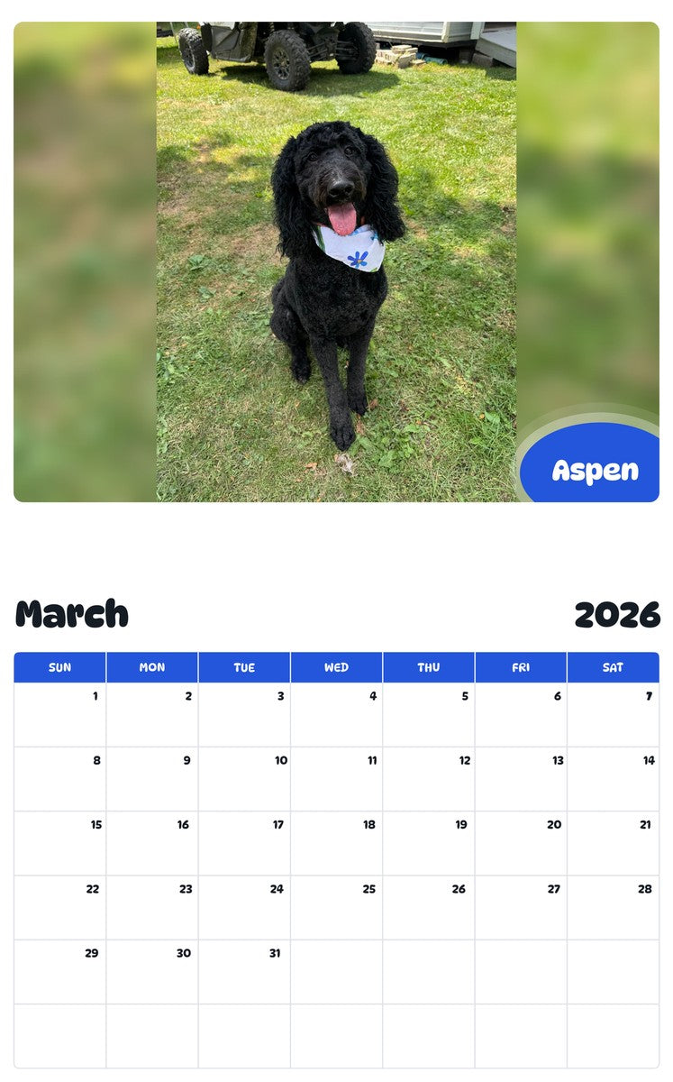 November 2025 - October 2026 Aspen - Pawidols Pet Calendar
