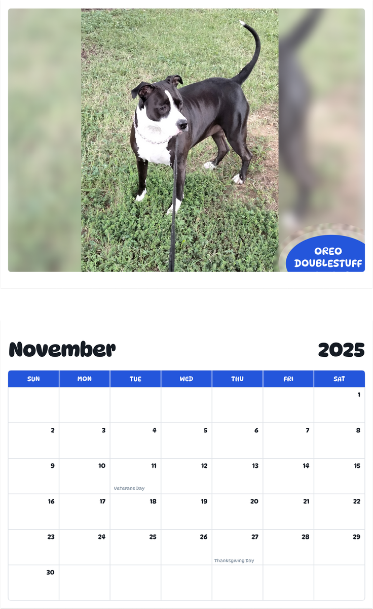 July 2025 - June 2026 OREO DoubleStuff Cookies - Pawidols Pet Calendar