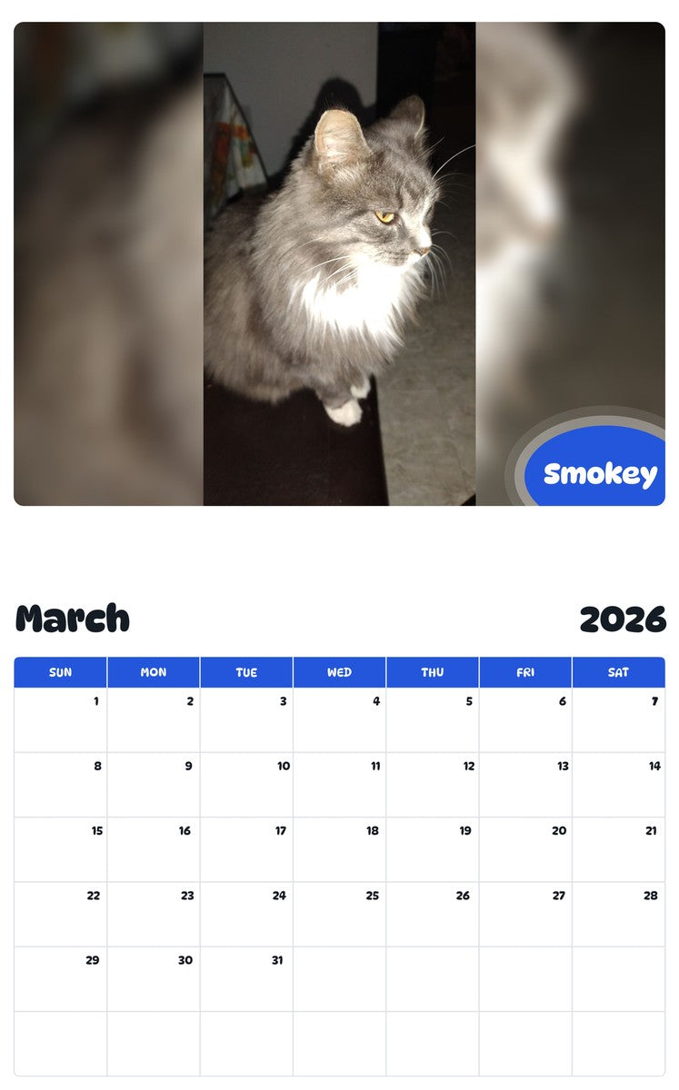 November 2025 - October 2026 Smokey - Pawidols Pet Calendar