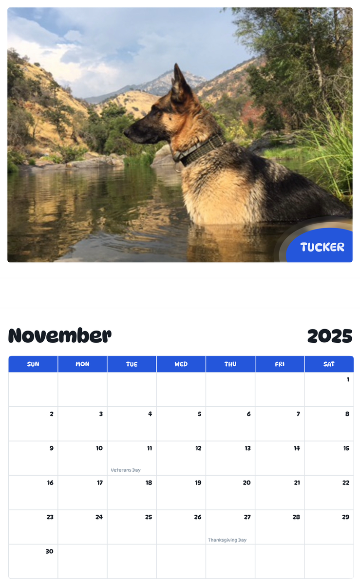 July 2025 - June 2026 Tucker - Pawidols Pet Calendar
