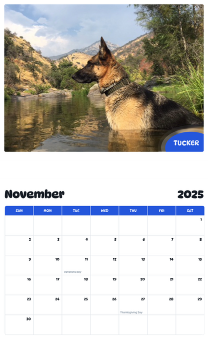July 2025 - June 2026 Tucker - Pawidols Pet Calendar