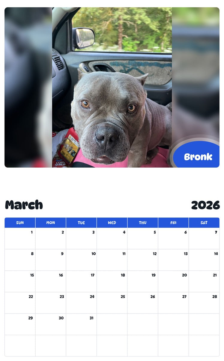 November 2025 - October 2026 Bronk - Pawidols Pet Calendar