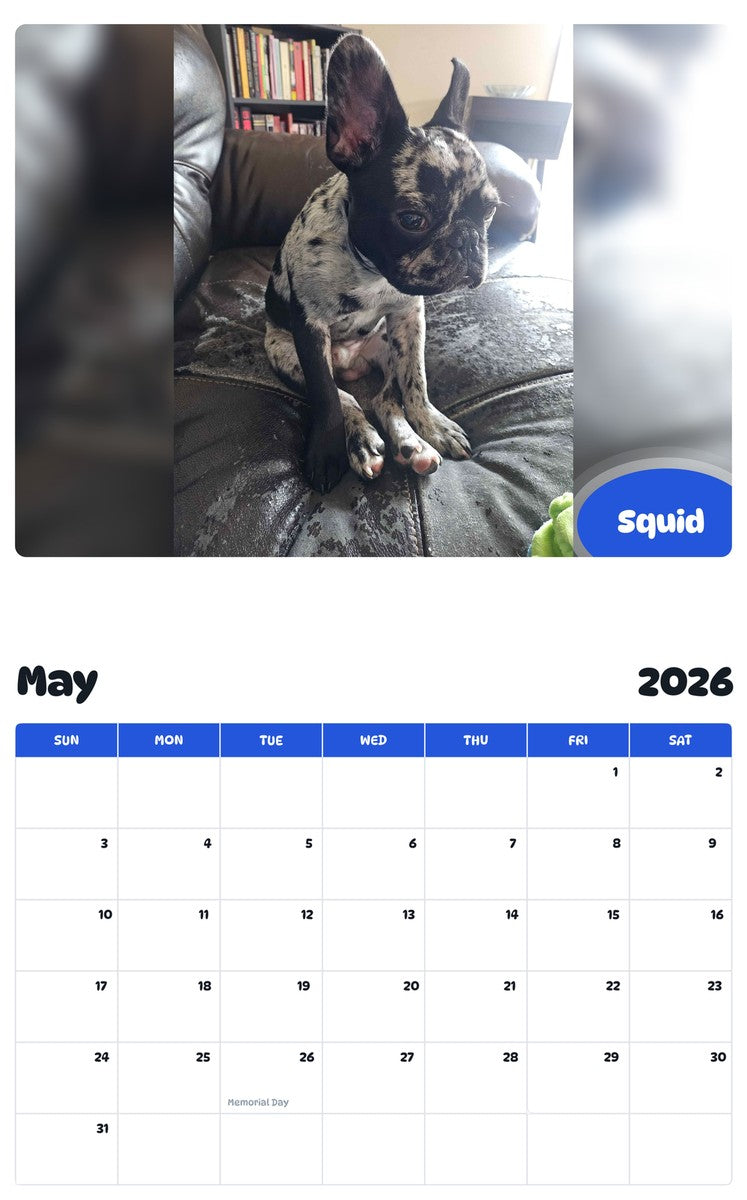 2026 - 2027 Squid - Pawidols Pet Calendar