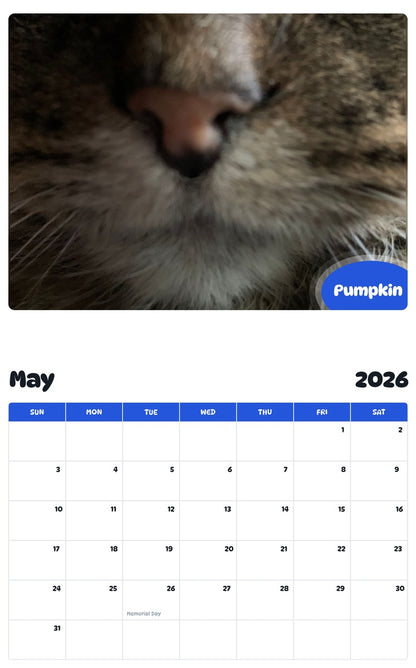 2026 - 2027 Pumpkin - Pawidols Pet Calendar
