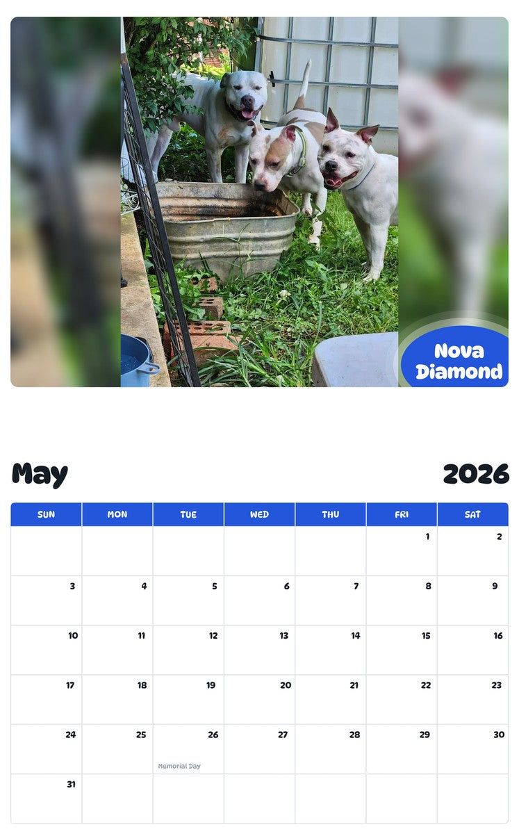 2026 - 2027 Nova Diamond - Pawidols Pet Calendar