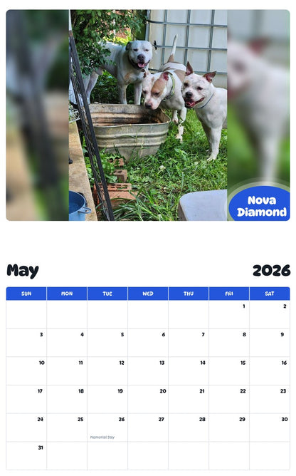 2026 - 2027 Nova Diamond - Pawidols Pet Calendar
