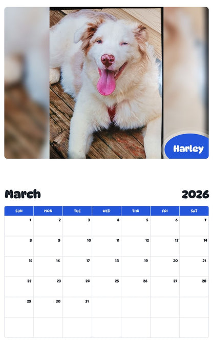 November 2025 - October 2026 Harley - Pawidols Pet Calendar