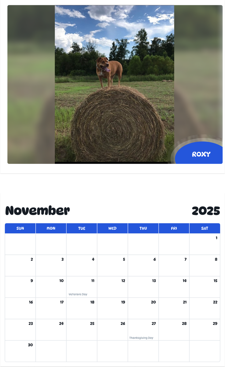 July 2025 - June 2026 Roxy - Pawidols Pet Calendar