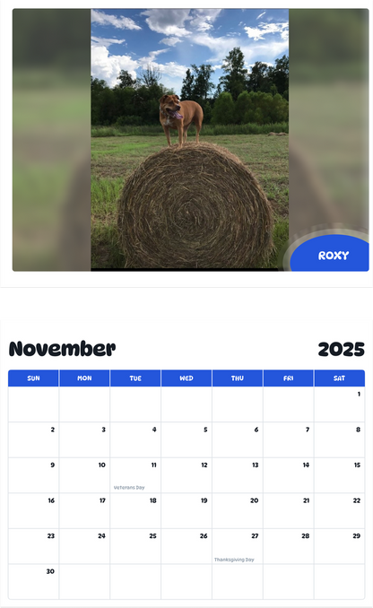July 2025 - June 2026 Roxy - Pawidols Pet Calendar
