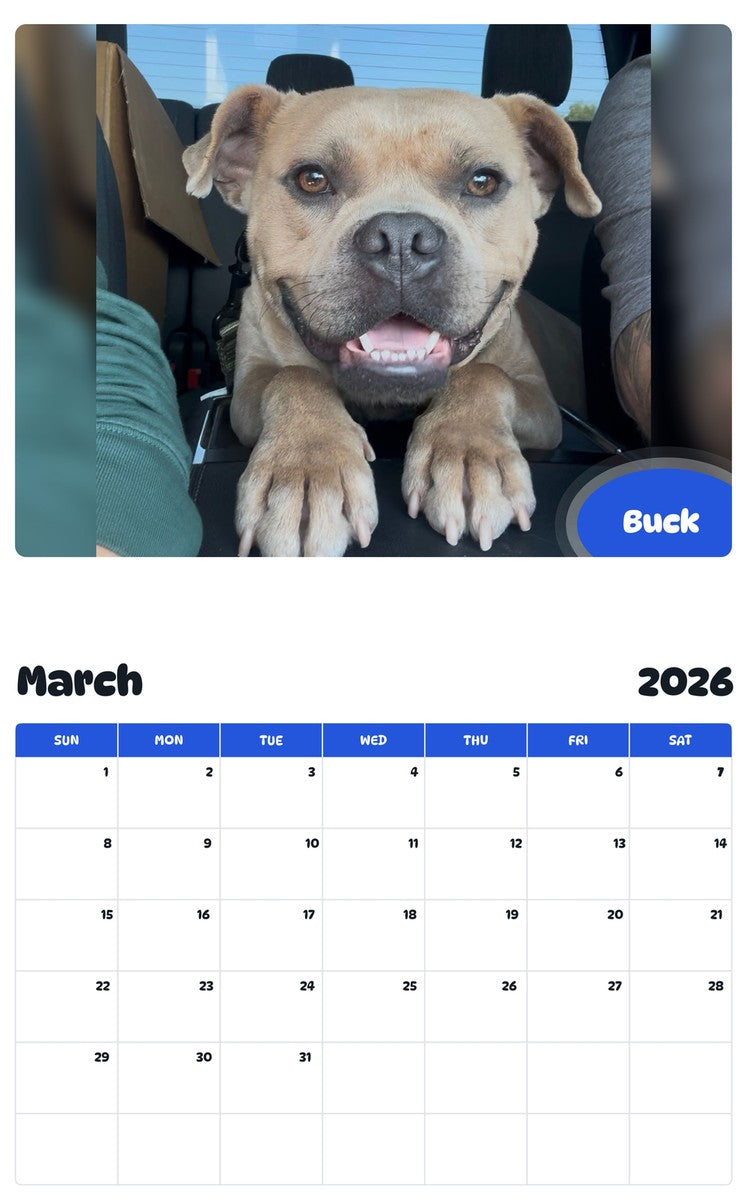 November 2025 - October 2026 Buck - Pawidols Pet Calendar