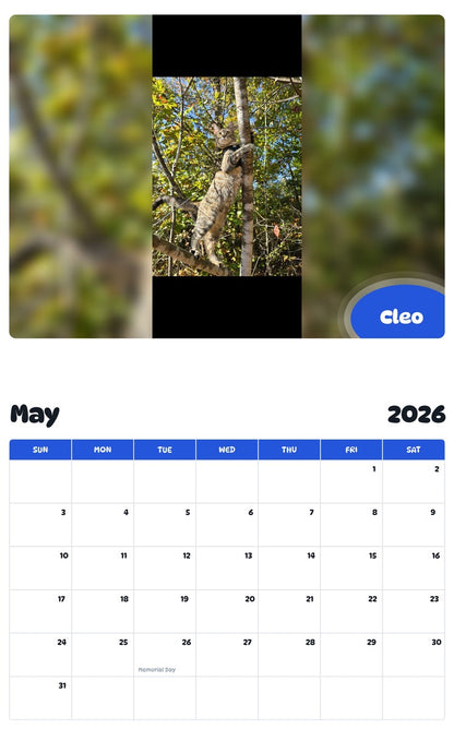 2026 - 2027 Cleo - Pawidols Pet Calendar