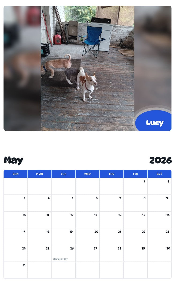 2026 - 2027 Lucy - Pawidols Pet Calendar