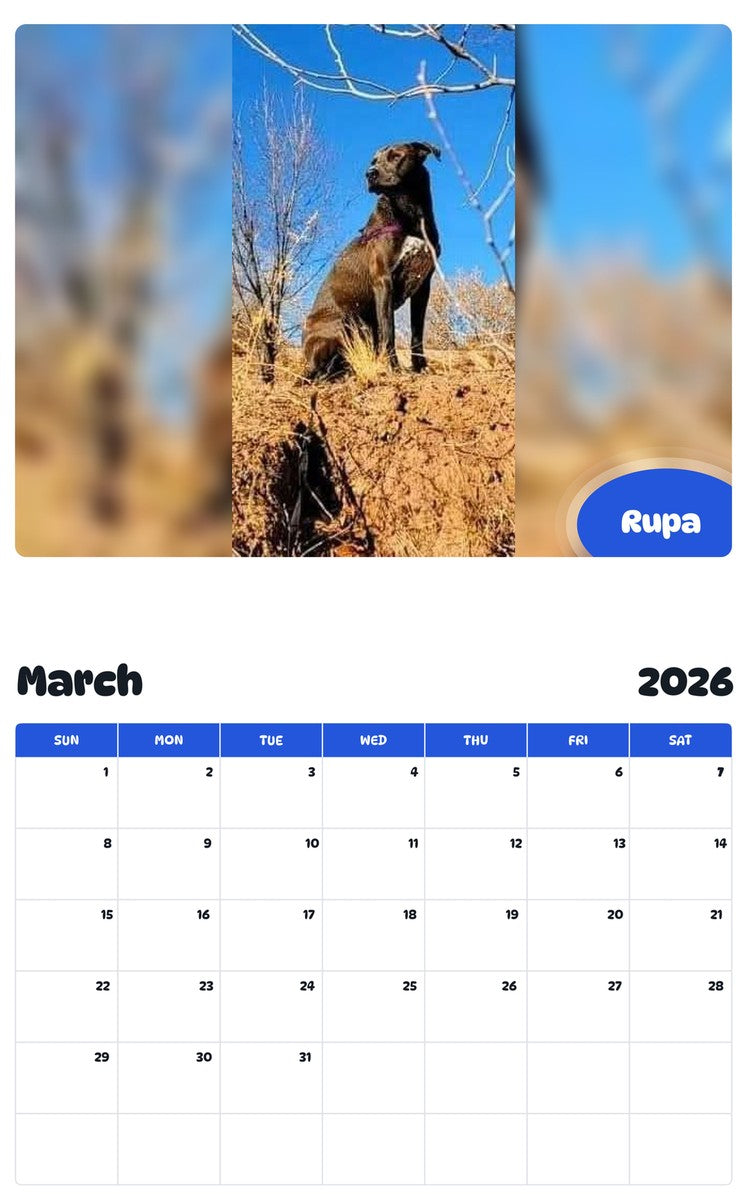 November 2025 - October 2026 Rupa - Pawidols Pet Calendar