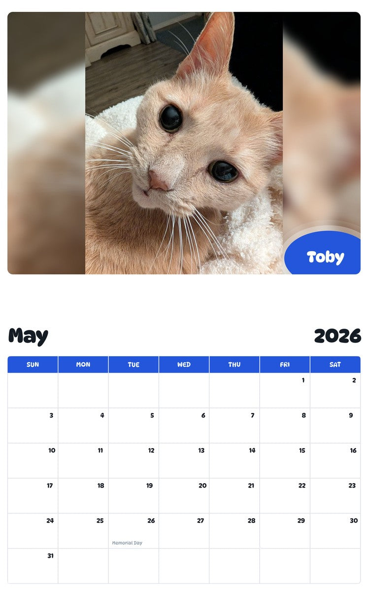 2026 - 2027 Toby - Pawidols Pet Calendar