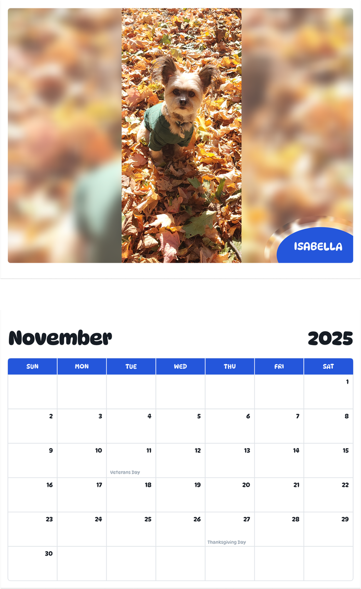 July 2025 - June 2026 Isabella - Pawidols Pet Calendar