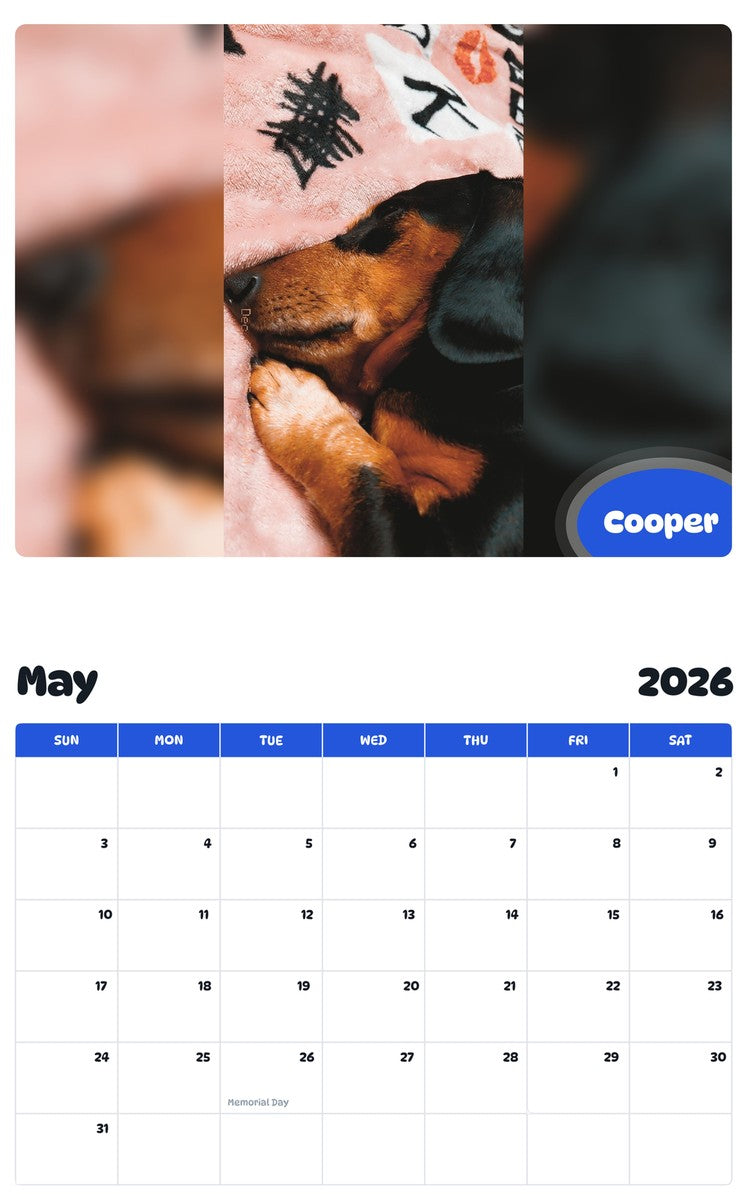 2026 - 2027 Cooper - Pawidols Pet Calendar