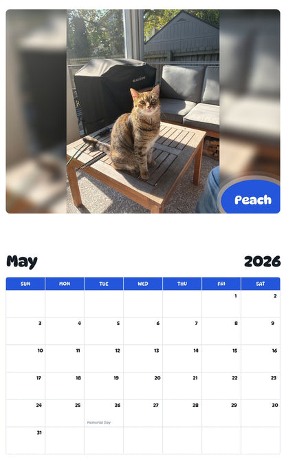 2026 - 2027 Peach - Pawidols Pet Calendar