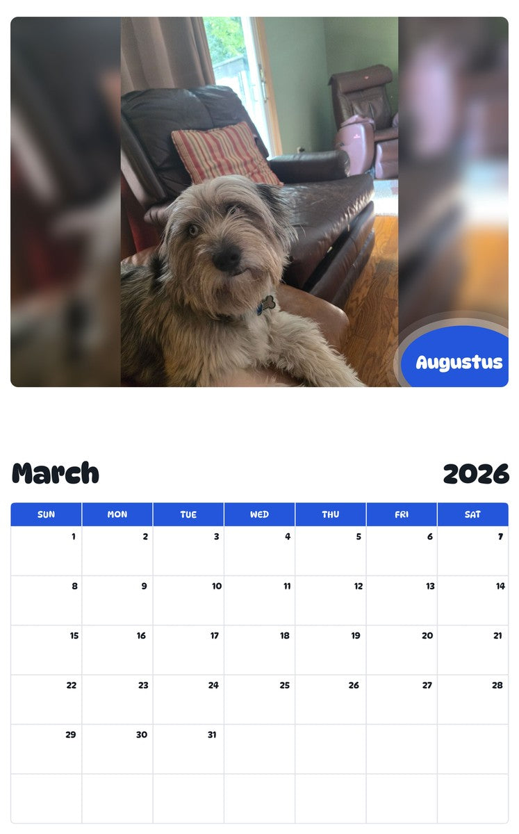 November 2025 - October 2026 Augustus - Pawidols Pet Calendar
