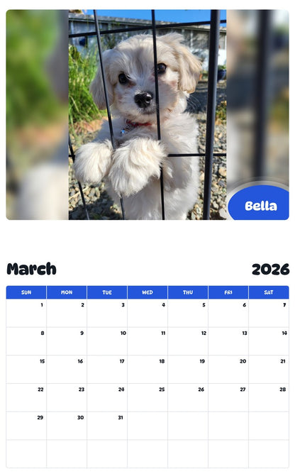 November 2025 - October 2026 Bella - Pawidols Pet Calendar