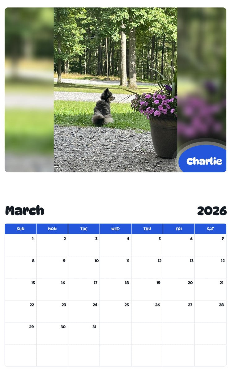 November 2025 - October 2026 Charlie - Pawidols Pet Calendar