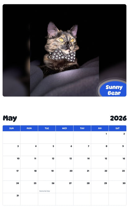 2026 - 2027 Sunny Bear - Pawidols Pet Calendar